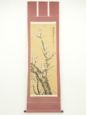 中国画　慧芳筆　白梅　肉筆紙本掛軸